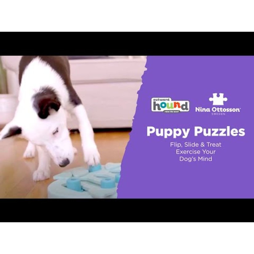 Nina Ottosson Puppy Smart Level 1 - snadná interaktivní hra pro štěňata, úroveň 1