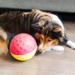 Nina Ottosson Treat Tumble Level 1 (14,6 cm) - logická hračka pro psy, míček na pamlsky, úroveň 1