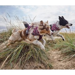 Hurtta Zhero Safety Bandana Eco Ruby - reflexní šátek pro psy - S