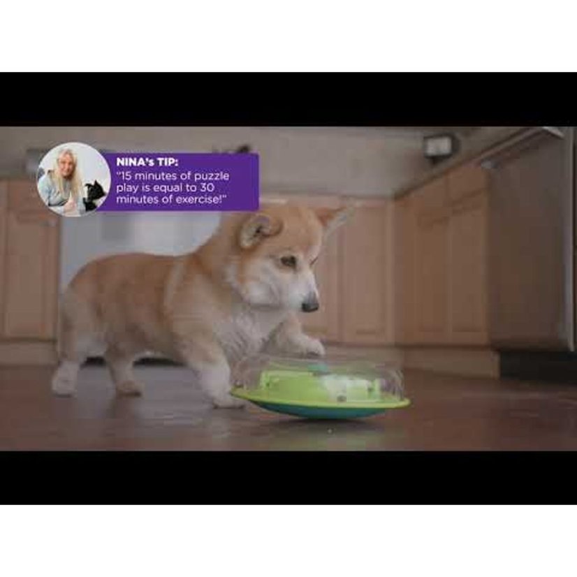 Nina Ottosson Wobble Bowl Level 1 - výuková miska pro psy, úroveň 1