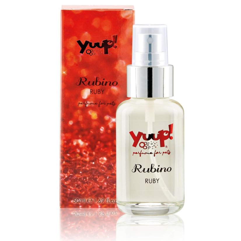 Yuup! Display parfémů FASHION FRAGRANCES 30 x 50 ml
