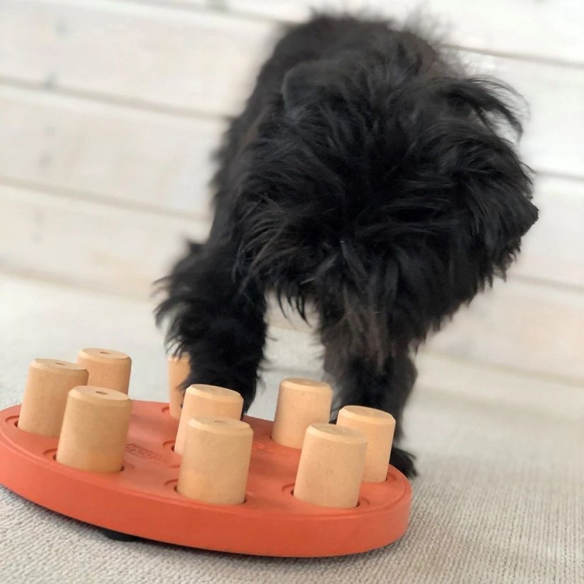 Nina Ottosson Dog Smart Level 1 Composite Orange - jednoduchá logická hra pro psa, úroveň 1