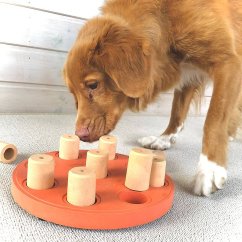 Nina Ottosson Dog Smart Level 1 Composite Orange - jednoduchá logická hra pro psa, úroveň 1