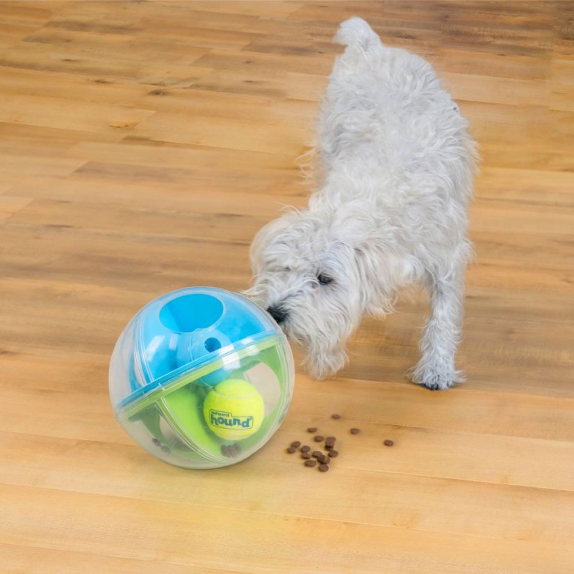 Nina Ottosson Dog A-Maze Ball Level 2 - psí bludiště a míček, na pamlsky, hra pro psy, úroveň 2