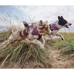 Hurtta Zhero Safety Bandana Eco Ruby - reflexní šátek pro psy - S