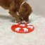 Nina Ottosson Dog Smart Level 1 - snadná interaktivní hra pro psy, úroveň 1