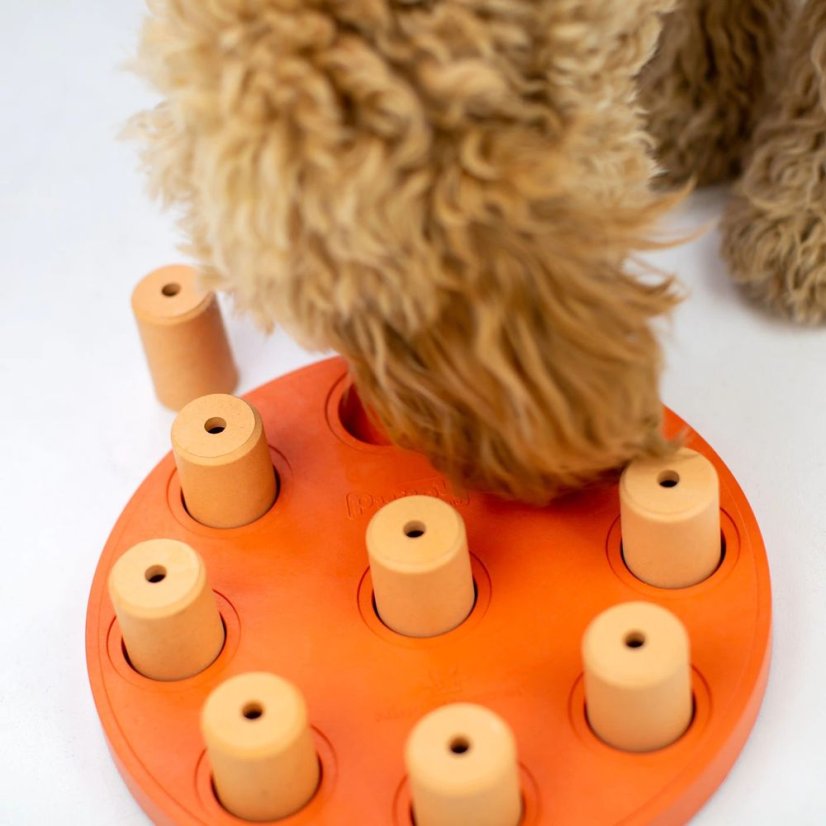 Nina Ottosson Dog Smart Level 1 Composite Orange - jednoduchá logická hra pro psa, úroveň 1