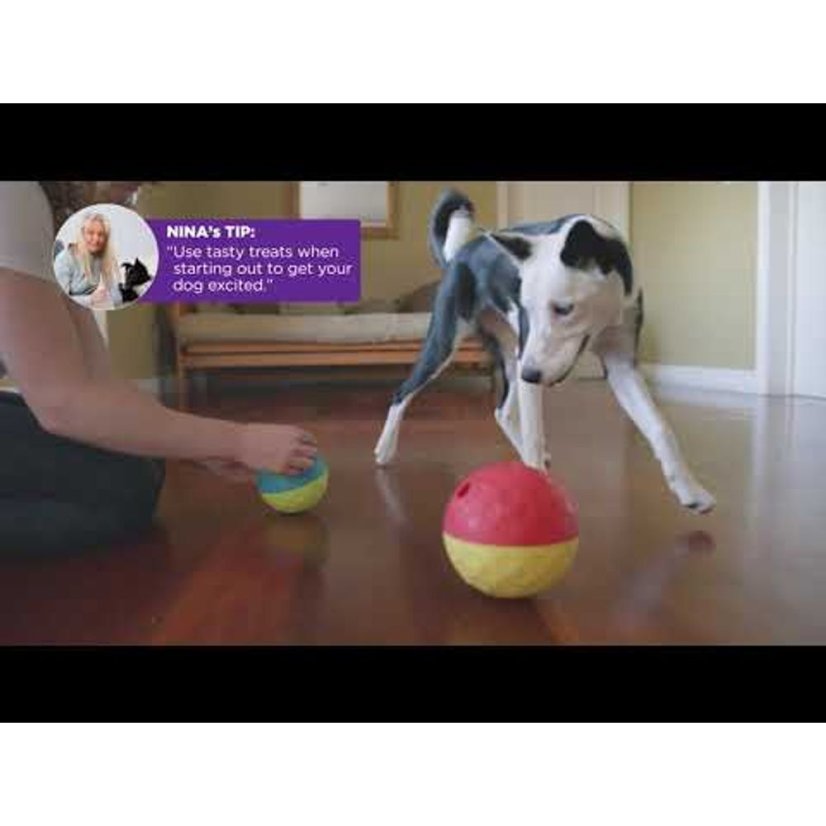 Nina Ottosson Treat Tumble Level 1 (14,6 cm) - logická hračka pro psy, míček na pamlsky, úroveň 1