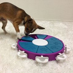 Nina Ottosson Dog Twister Level 3 - logická hra, psí puzzle, úroveň 3