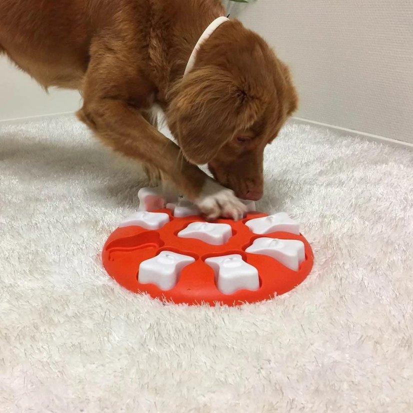 Nina Ottosson Dog Smart Level 1 - snadná interaktivní hra pro psy, úroveň 1