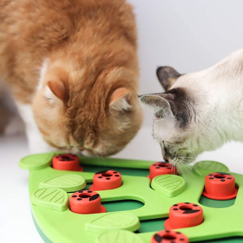 Nina Ottosson Cat Buggin' Out Puzzle Level 2 - vzdělávací hračka pro kočky, úroveň 2
