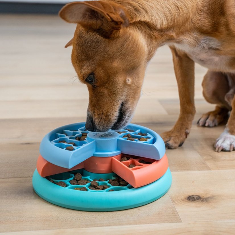 Nina Ottosson Puppy Lickin' Layers Level 2 - výuková hra a miska na zpomalování krmení pro štěňata a malé psy, úroveň 2