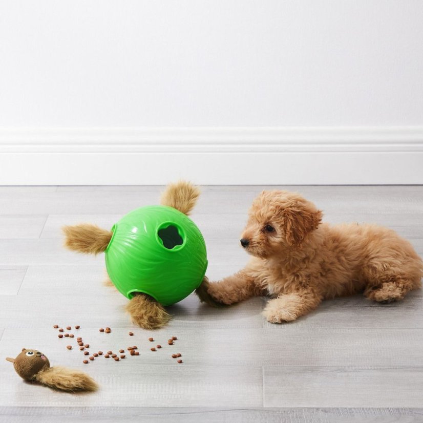 Nina Ottosson Dog Snuffle N' Treat Ball Level 2 - čichový míček pro psy, se 6 veverkami, úroveň 2, zelený