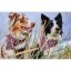 Hurtta Zhero Safety Bandana Eco Peacock - reflexní šátek pro psy - S - Velikost: M