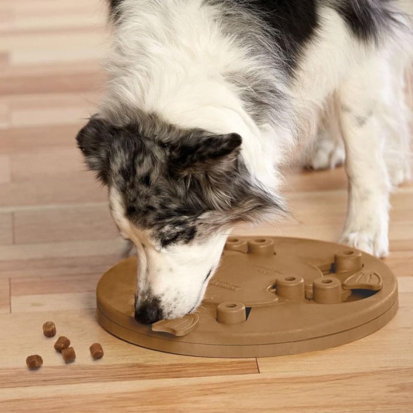 Nina Ottosson Dog Worker Level 3 - vzdělávací hra pro psy, úroveň 3 - Barva: Zelená