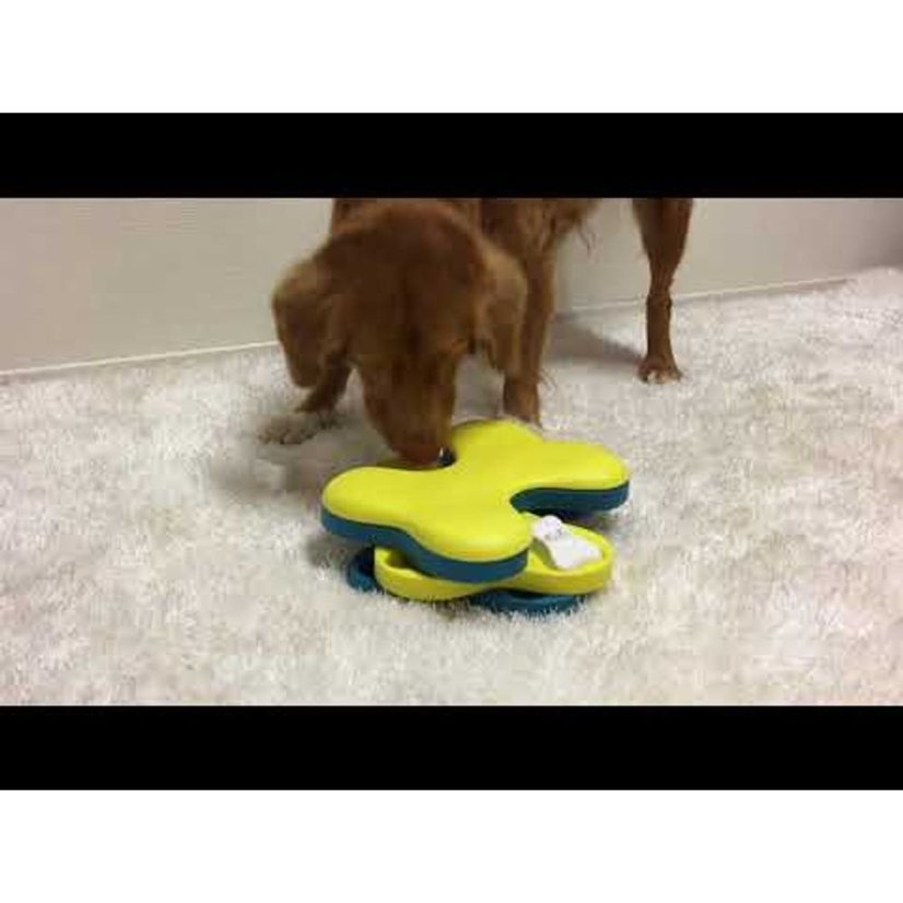 Nina Ottosson Dog Tornado Level 2 - interaktivní logická hra pro psa, úroveň 2
