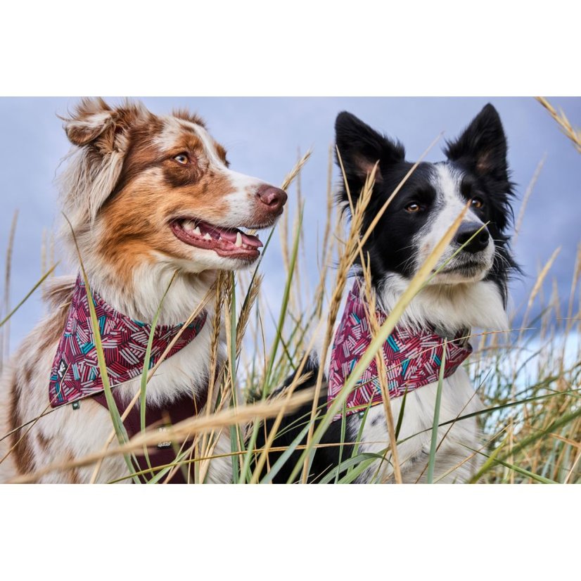 Hurtta Zhero Safety Bandana Eco Peacock - reflexní šátek pro psy - S - Velikost: M