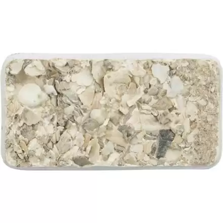 Klovací kámen s mořskými mušlemi, - Váha: 200g