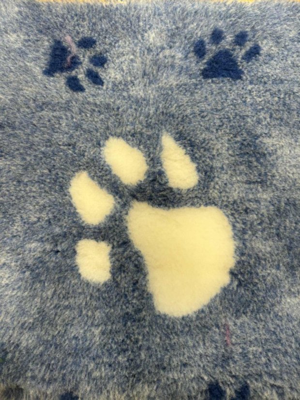 Blovi DryBed A+ - protiskluzový pelíšek, modrobílý - 100x75cm