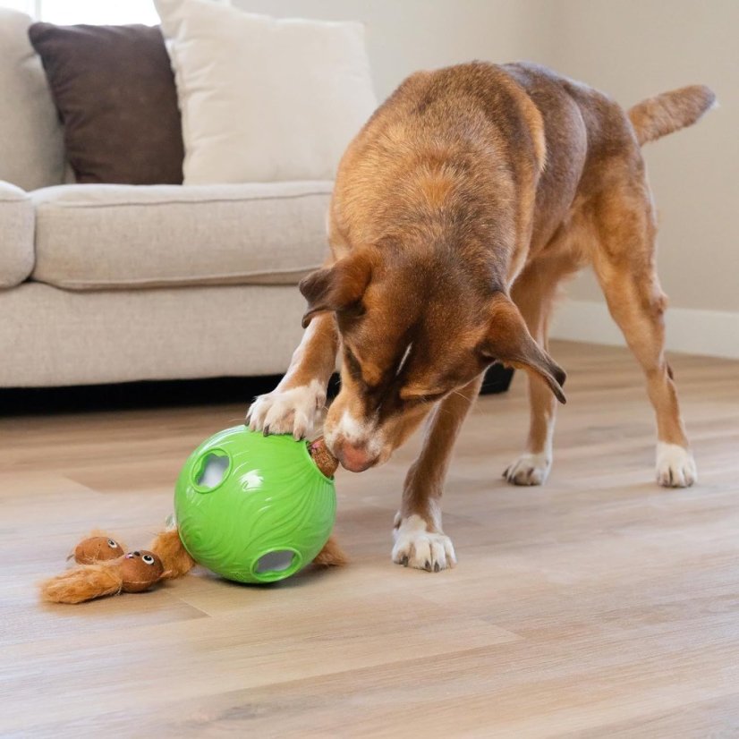 Nina Ottosson Dog Snuffle N' Treat Ball Level 2 - čichový míček pro psy, se 6 veverkami, úroveň 2, zelený