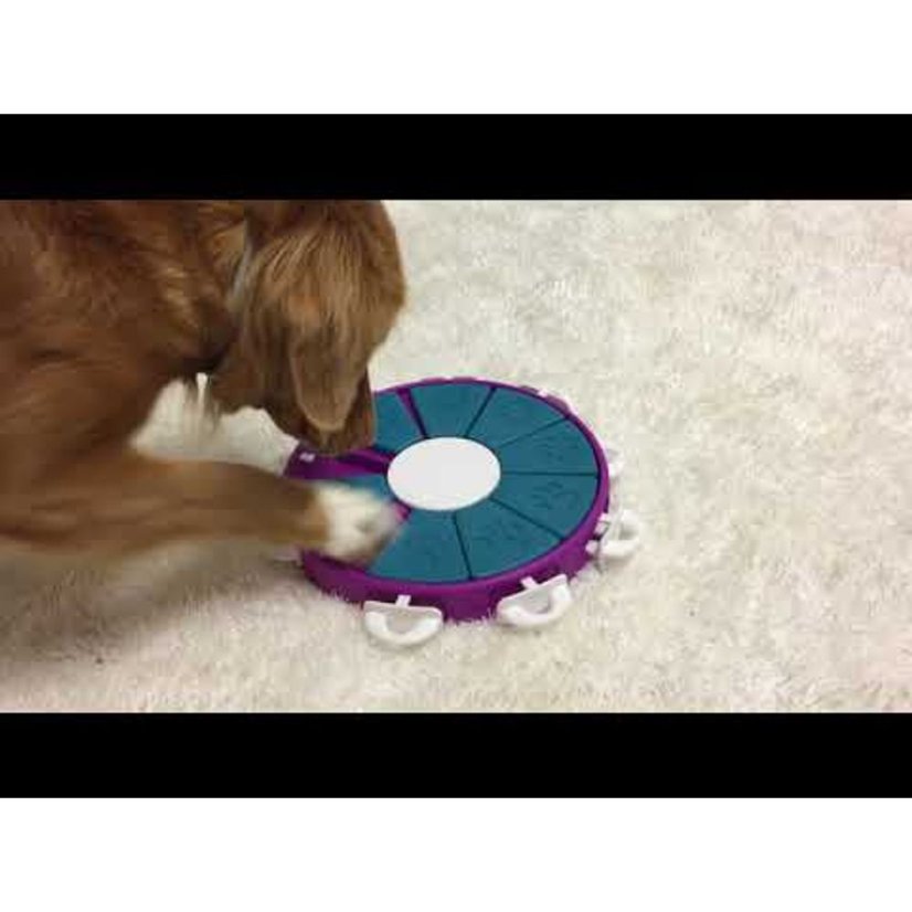 Nina Ottosson Dog Twister Level 3 - logická hra, psí puzzle, úroveň 3