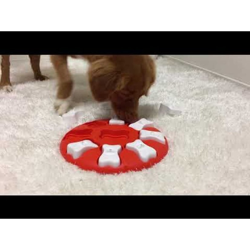 Nina Ottosson Dog Smart Level 1 - snadná interaktivní hra pro psy, úroveň 1