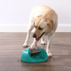 Nina Ottosson Dog Spin N' Eat Level 2 - vzdělávací hra a miska na pomalé krmení pro psa, úroveň 2