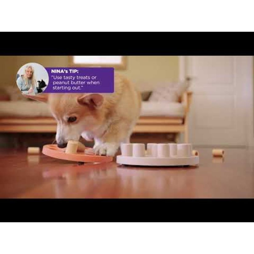Nina Ottosson Dog Smart Level 1 Composite Orange - jednoduchá logická hra pro psa, úroveň 1