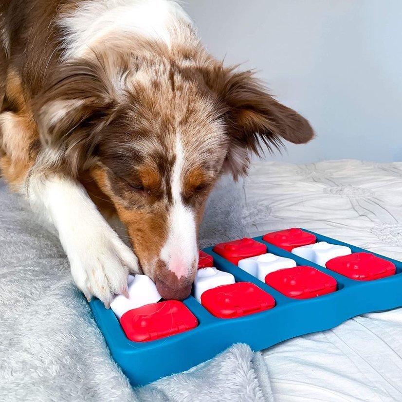 Nina Ottosson Dog Brick Level 2 - logická hra, psí puzzle, úroveň 2