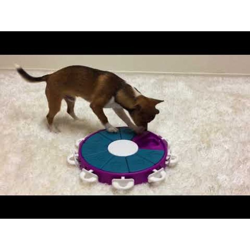 Nina Ottosson Dog Twister Level 3 - logická hra, psí puzzle, úroveň 3